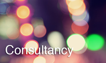 Spot_on_services_0000_Consultancy