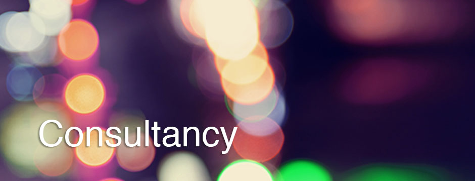 Spot_on_services_pages_0000_Consultancy